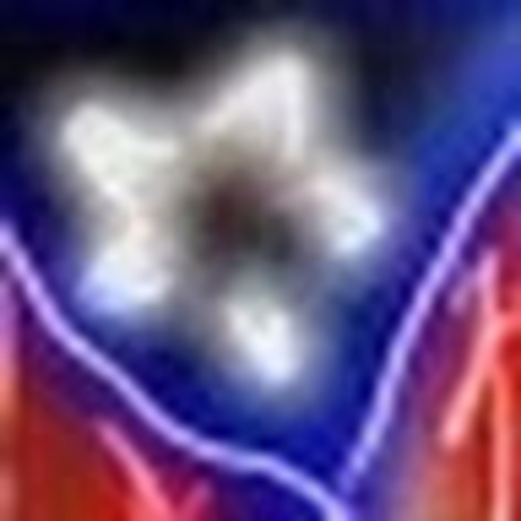 Meet your Posher, Sylvia - Picture 1 of 1